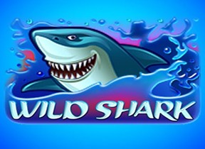 Wild Shark