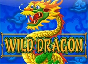 Wild Dragon