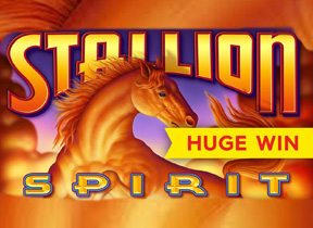 Spirit Stallion