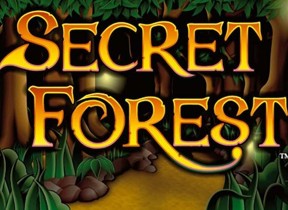 Secret Forest