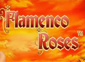 Flamenco Roses