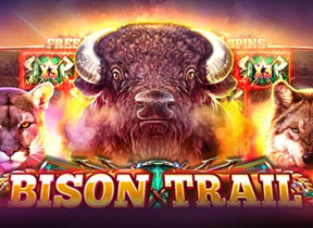 Bison Trail