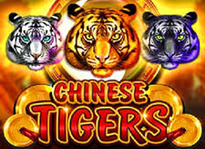 Chinese Tigers