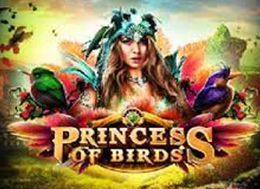 Princess of Birds