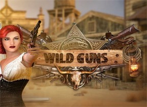 Wild Guns
